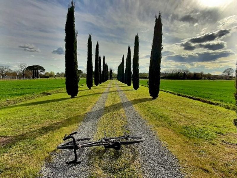 Toscane 2024